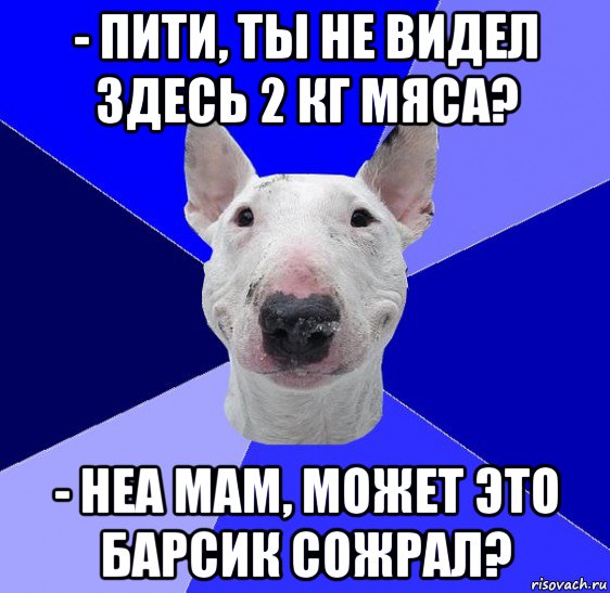 - пити, ты не видел здесь 2 кг мяса? - неа мам, может это барсик сожрал?, Мем типичный буль