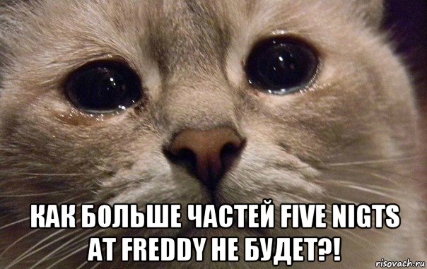  как больше частей five nigts at freddy не будет?!, Мем   В мире грустит один котик