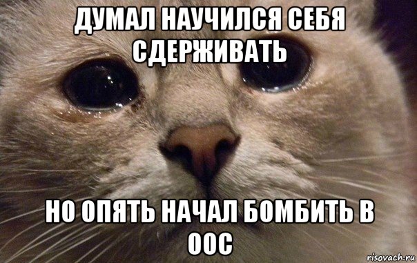 думал научился себя сдерживать но опять начал бомбить в оос, Мем   В мире грустит один котик