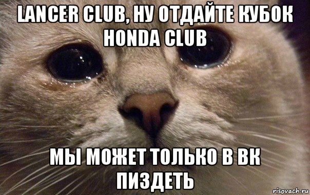 lancer club, ну отдайте кубок honda club мы может только в вк пиздеть, Мем   В мире грустит один котик