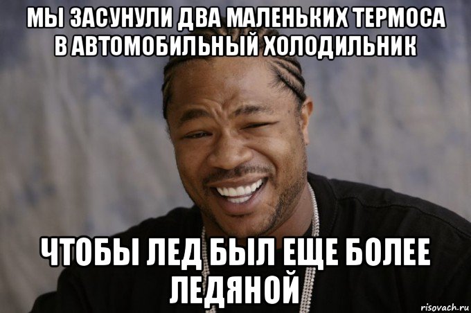 мы засунули два маленьких термоса в автомобильный холодильник чтобы лед был еще более ледяной, Мем Xzibit