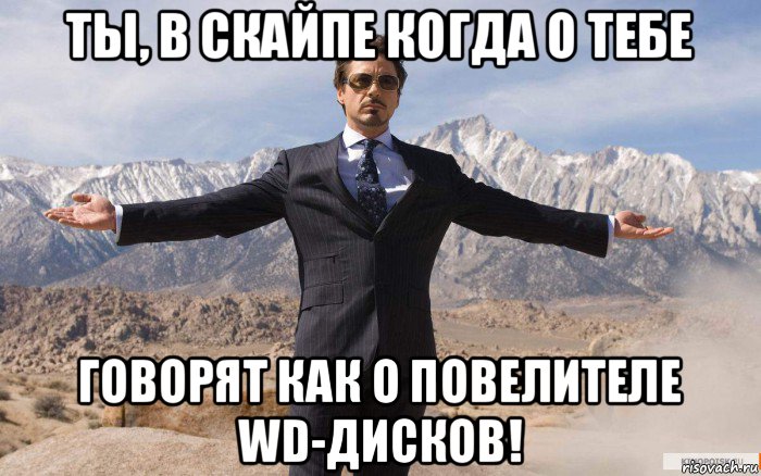 ты, в скайпе когда о тебе говорят как о повелителе wd-дисков!, Мем железный человек