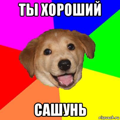 ты хороший сашунь, Мем Advice Dog