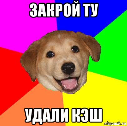 закрой ту удали кэш, Мем Advice Dog