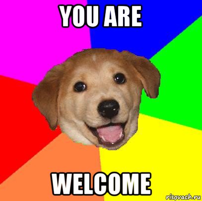 you are welcome, Мем Advice Dog