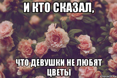 Ну что же ты моим цветам. Мемы про цветы. Цветы Мем. Нет женщин которые не любят цветы. Мем про цветы и девушек.