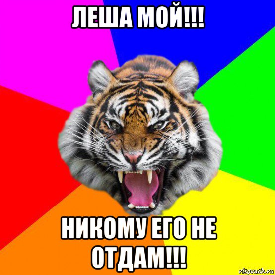 леша мой!!! никому его не отдам!!!, Мем  ДЕРЗКИЙ ТИГР