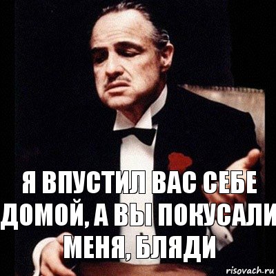 Я впустил вас себе домой, а вы покусали меня, бляди, Комикс Дон Вито Корлеоне 1