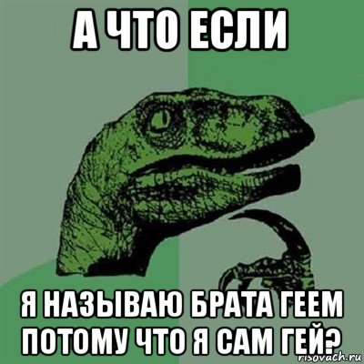 а что если я называю брата геем потому что я сам гей?, Мем Филосораптор