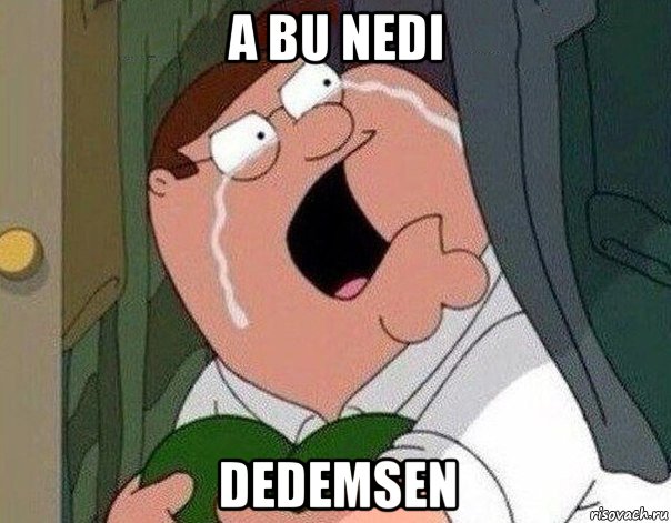 a bu nedi dedemsen, Мем Гриффин плачет