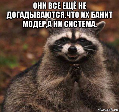 они все ещё не догадываются.что их банит модер,а ни система. , Мем  Хитрый енот