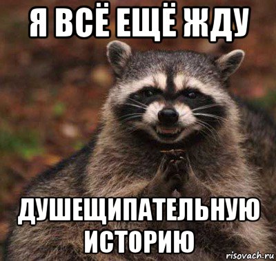 Рассказывай жду. Жду рассказа. Коварный енот Мем. История ждет. Хитрый енот Мем.