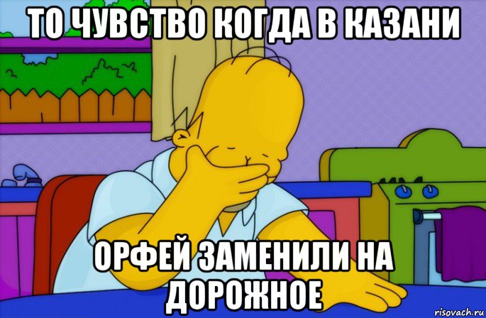 то чувство когда в казани орфей заменили на дорожное, Мем Homer simpson facepalm