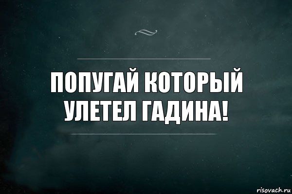 Попугай который улетел гадина!, Комикс Игра Слов