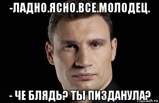 -ладно.ясно.все.молодец. - че блядь? ты пизданула?, Мем Кличко