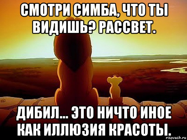 смотри симба, что ты видишь? рассвет. дибил... это ничто иное как иллюзия красоты., Мем  король лев