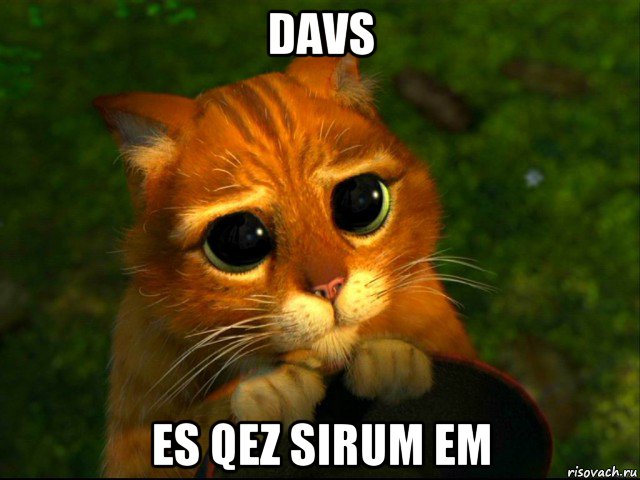 davs es qez sirum em, Мем кот из шрека