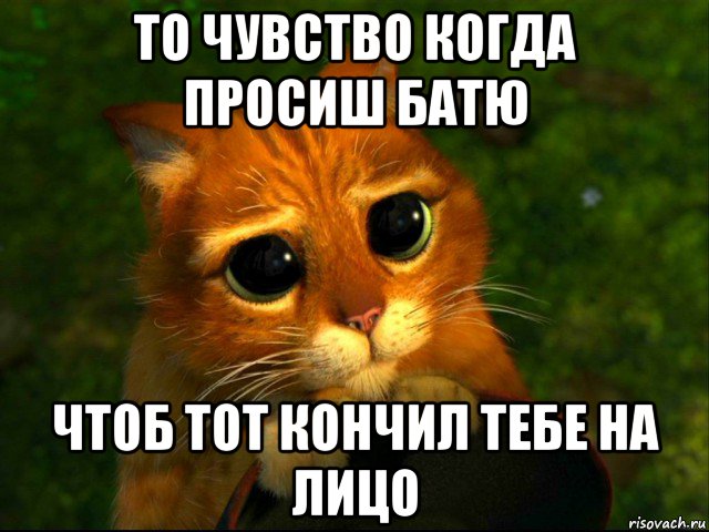 то чувство когда просиш батю чтоб тот кончил тебе на лицо, Мем кот из шрека