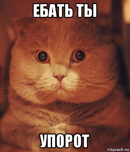 ебать ты упорот