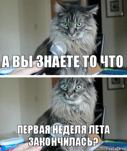 А вы знаете то что Первая неделя лета закончилась?, Комикс  кот с микрофоном