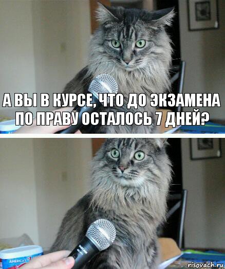 А вы в курсе, что до экзамена по праву осталось 7 дней? , Комикс  кот с микрофоном