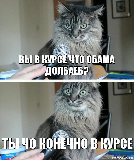 вы в курсе что обама долбаеб? Ты чо конечно в курсе, Комикс  кот с микрофоном