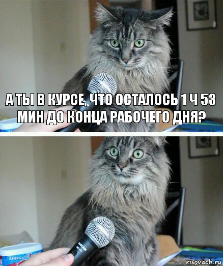 А ты в курсе, что осталось 1 ч 53 мин до конца рабочего дня? , Комикс  кот с микрофоном