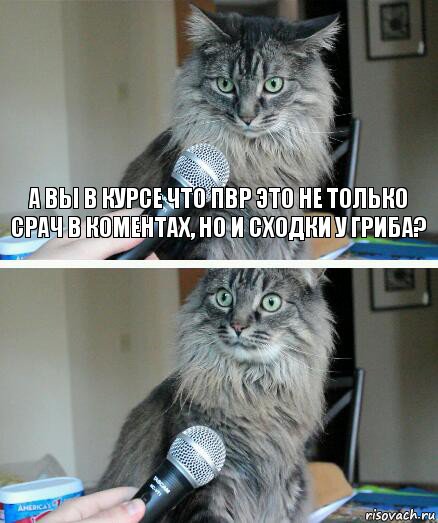 а вы в курсе что ПВР это не только срач в коментах, но и сходки у гриба? , Комикс  кот с микрофоном