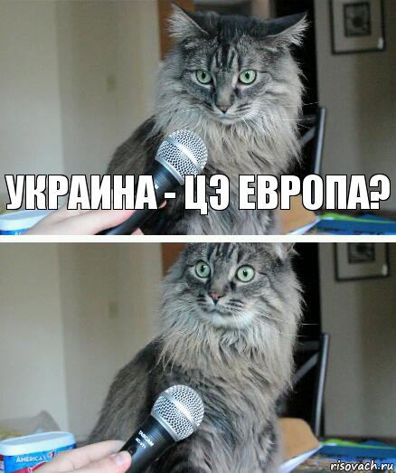 Украина - цэ Европа? , Комикс  кот с микрофоном
