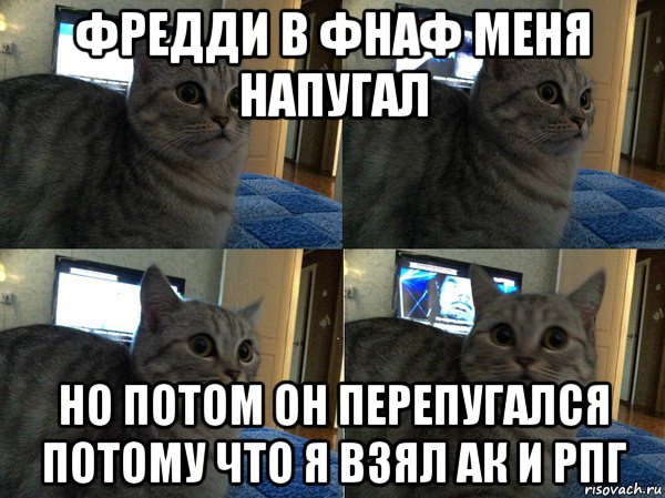 фредди в фнаф меня напугал но потом он перепугался потому что я взял ак и рпг, Мем  Кот в шоке