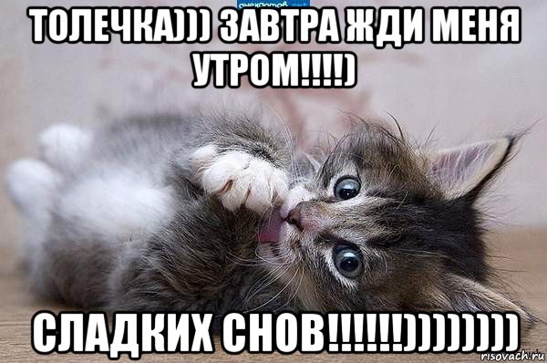 толечка))) завтра жди меня утром!!!!) сладких снов!!!!!!))))))))