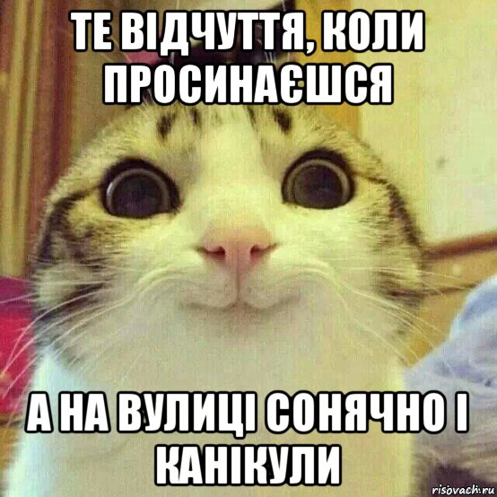 те відчуття, коли просинаєшся а на вулиці сонячно і канікули, Мем       Котяка-улыбака