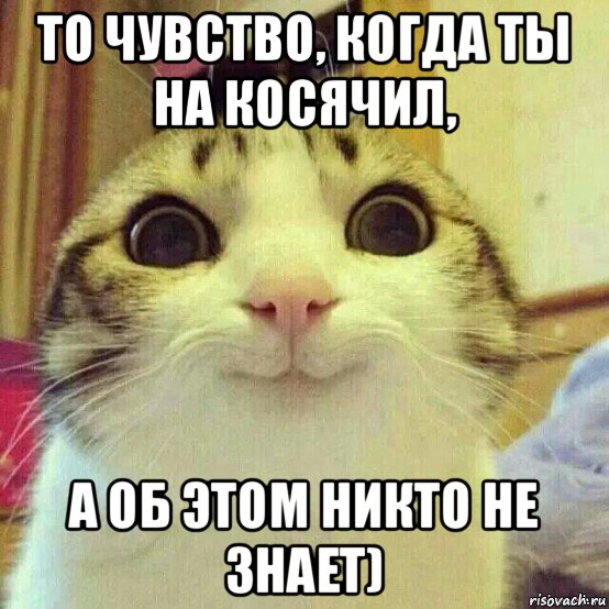 то чувство, когда ты на косячил, а об этом никто не знает), Мем       Котяка-улыбака