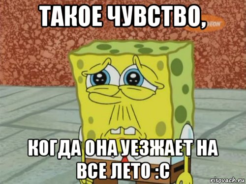 такое чувство, когда она уезжает на все лето :с, Мем Грустный Губка Боб