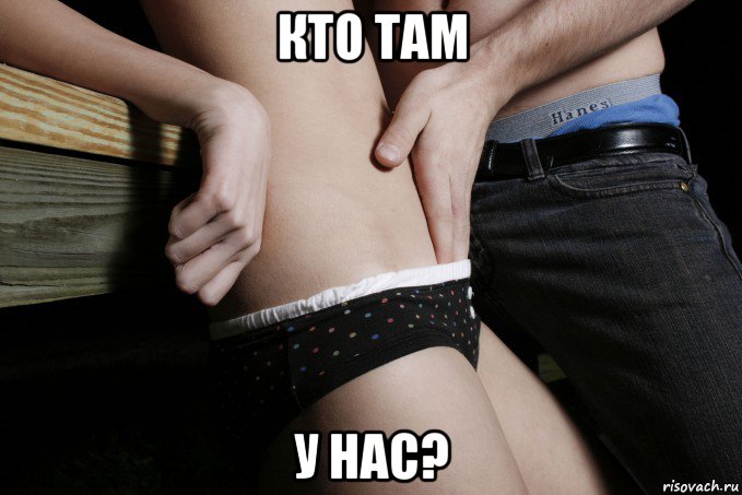 кто там у нас?