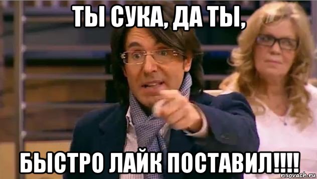 ты сука, да ты, быстро лайк поставил!!!!