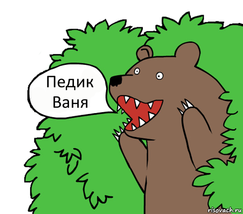 Педик Ваня, Комикс медведь из кустов