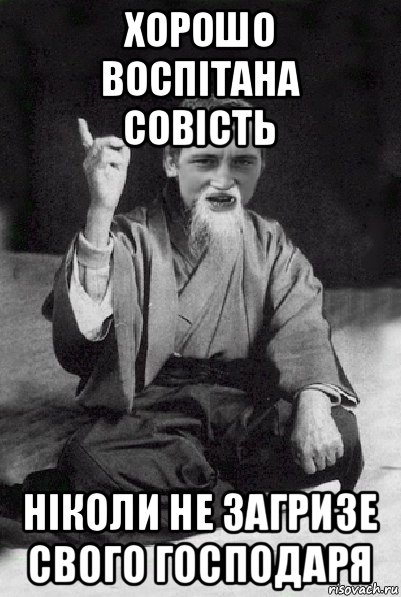 хорошо воспітана совість ніколи не загризе свого господаря, Мем Мудрий паца