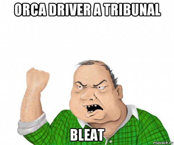 orca driver a tribunal bleat, Мем мужик