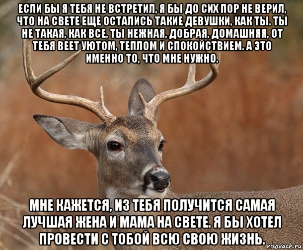 если бы я тебя не встретил, я бы до сих пор не верил, что на свете еще остались такие девушки, как ты. ты не такая, как все, ты нежная, добрая, домашняя, от тебя веет уютом, теплом и спокойствием. а это именно то, что мне нужно. мне кажется, из тебя получится самая лучшая жена и мама на свете. я бы хотел провести с тобой всю свою жизнь., Мем  Наивный Олень v2