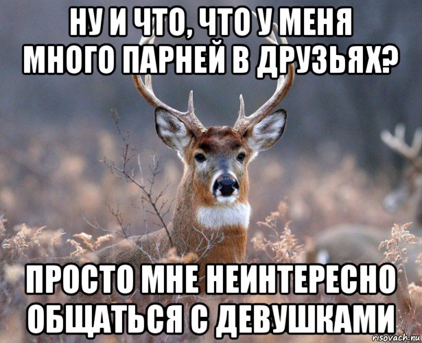 ну и что, что у меня много парней в друзьях? просто мне неинтересно общаться с девушками, Мем   Наивный олень