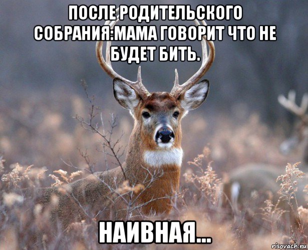 после родительского собрания:мама говорит что не будет бить. наивная..., Мем   Наивный олень