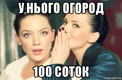 у нього огород 100 соток, Мем  Он