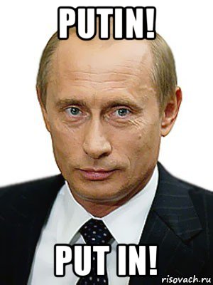 putin! put in!, Мем Путин