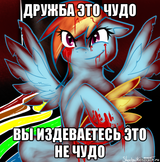 дружба это чудо вы издеваетесь это не чудо, Мем RAINBOW FACTORY DASH