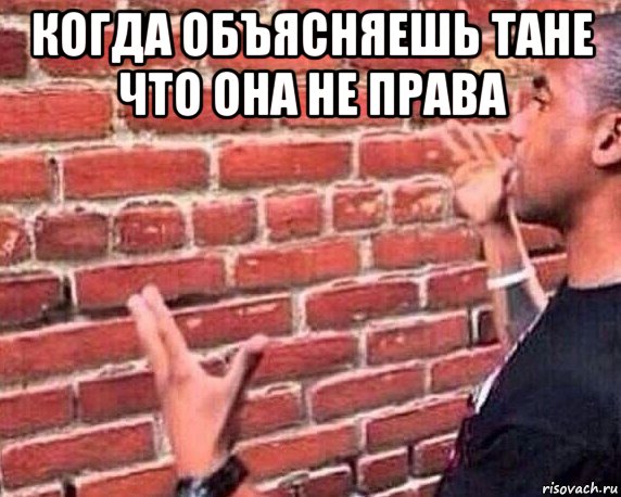 когда объясняешь тане что она не права , Мем разговор со стеной