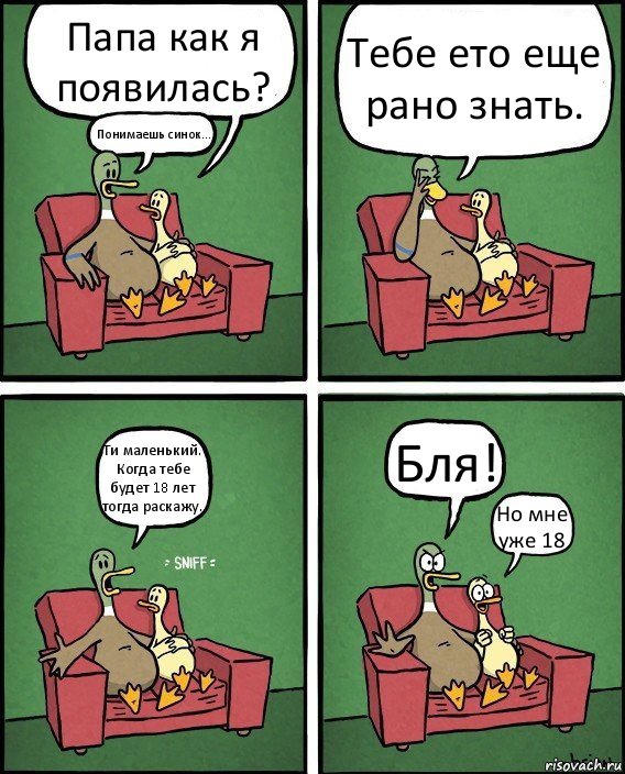 Папа как я появилась? Понимаешь синок... Тебе ето еще рано знать. Ти маленький. Когда тебе будет 18 лет тогда раскажу. Бля! Но мне уже 18, Комикс  Разговор уток