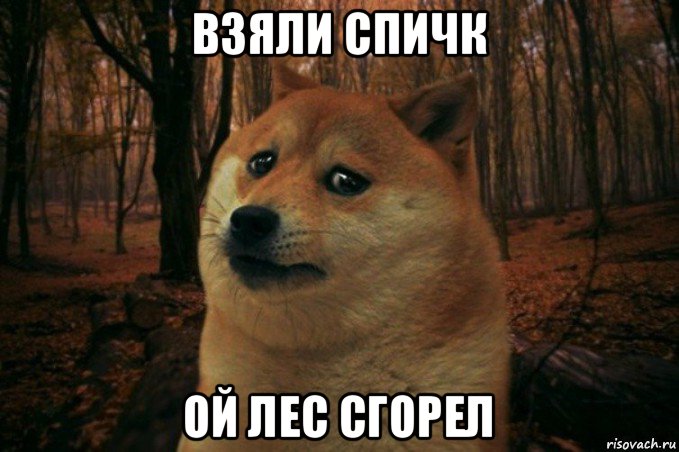 взяли спичк ой лес сгорел, Мем SAD DOGE