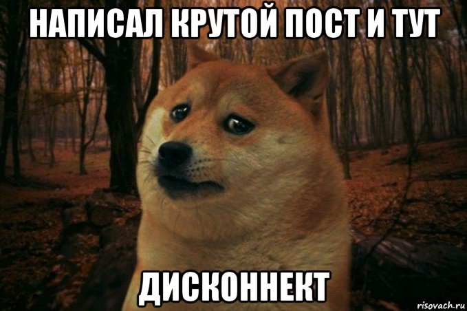 написал крутой пост и тут дисконнект, Мем SAD DOGE