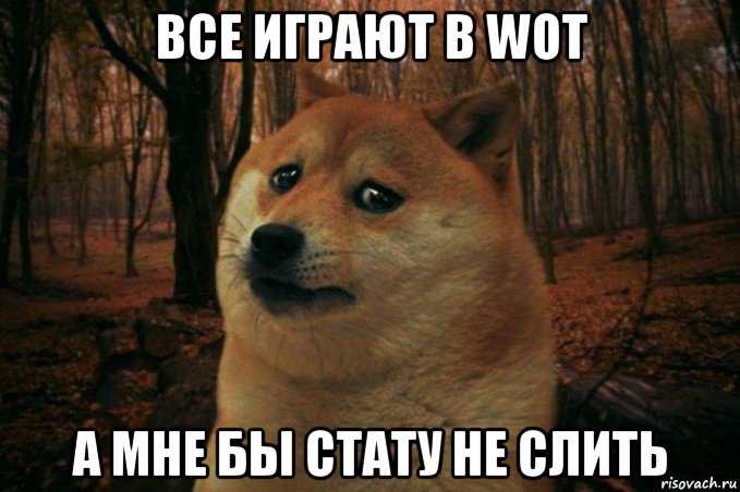 все играют в wot а мне бы стату не слить, Мем SAD DOGE